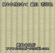 ダイケン銀白 若草表